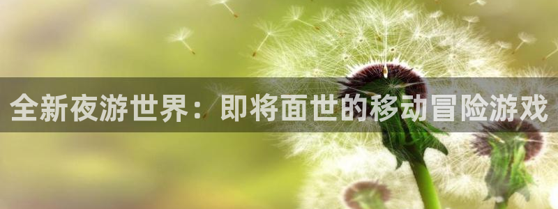汇丰娱乐计划：全新夜游世界：即将面世的移动冒险游戏