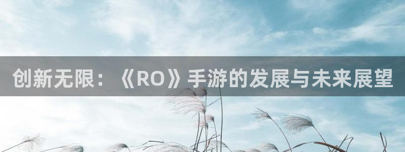 汇丰娱乐下载不了：创新无限：《RO》手游的发展与未来展望