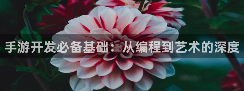 汇丰娱乐怎么下载地址：手游开发必备基础：从编程到艺术的深度