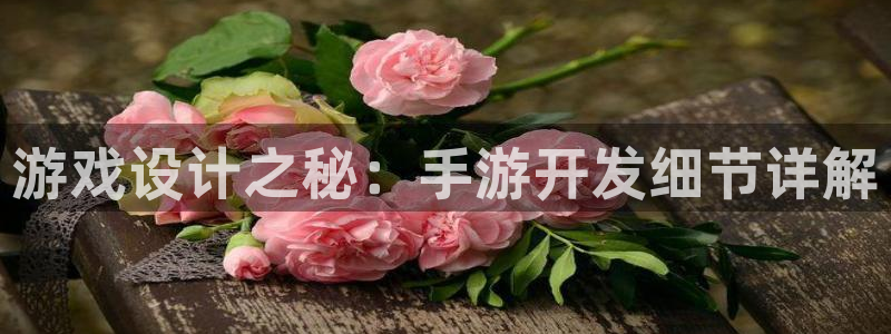 pc汇丰娱乐吧预测：游戏设计之秘：手游开发细节详解