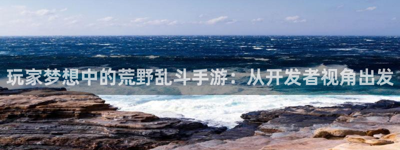 汇丰娱乐老版本的使用方法及注意事项：玩家梦想中的荒野乱斗手游