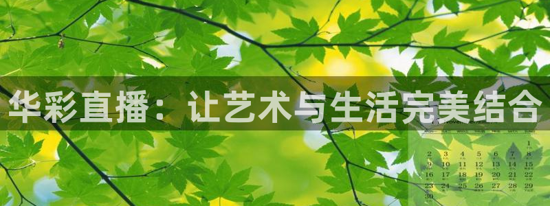 小九直播：华彩直播：让艺术与生活完美结合