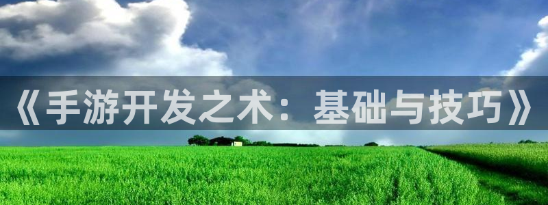 汇丰娱乐ios下载：《手游开发之术：基础与技巧》