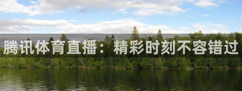 小九体育直播免费观看