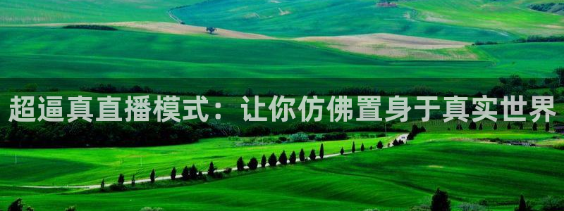 英超直播小九直播