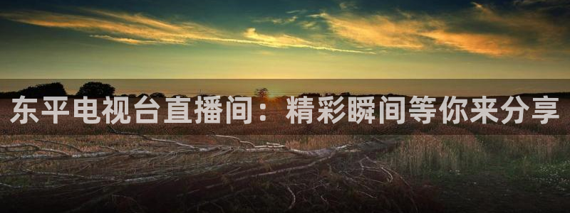 小九直播间足球直播