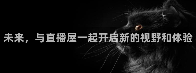 小九免费直播在线观看直播足球