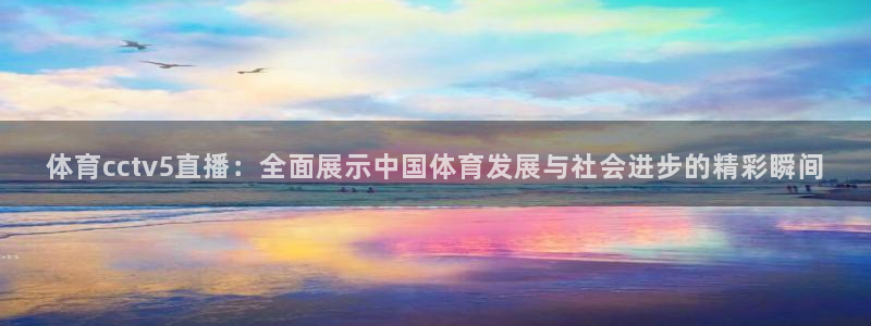 小九足球直播