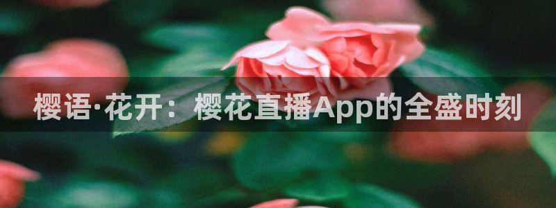 小九直播间足球直播