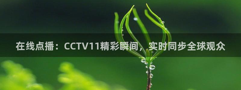 小九直播