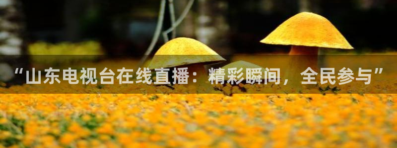 nba直播小九：“山东电视台在线直播：精彩瞬间，全民参与”
