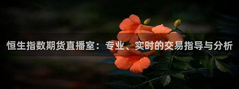 足球直播小九直播在线观看：恒生指数期货直播室：专业、实时的交易指导与分析